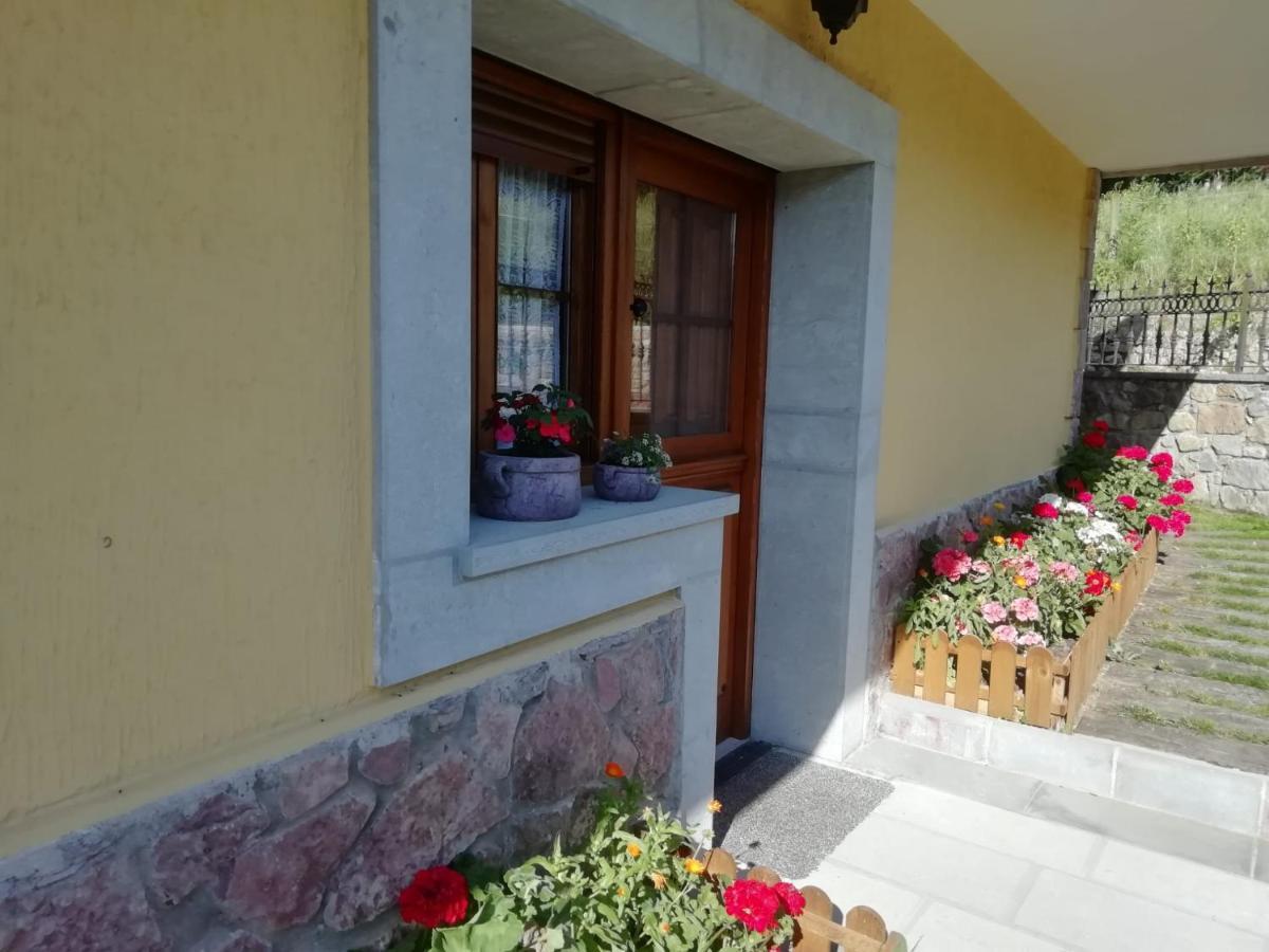 Apartamentos La Huerta De La Torre Кангас-де-Онис Экстерьер фото